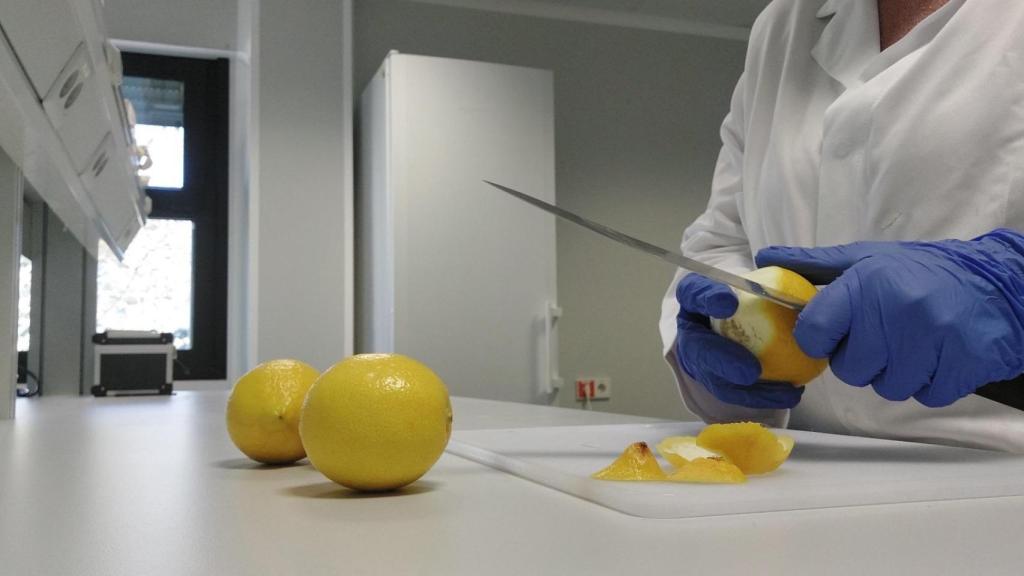 Las frutas son protagonistas en Caviro Food