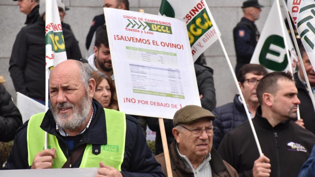 Concentración del ovino en la Consejería