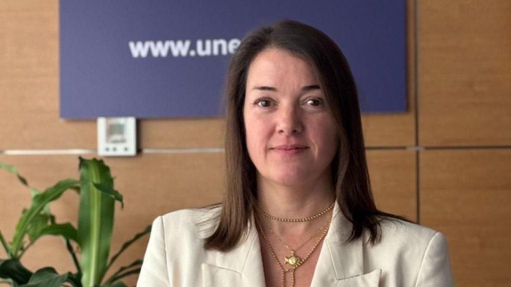 Carola Hermoso, directora general de Unesid.