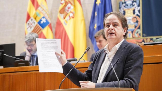 Bermúdez de Castro, este jueves en el pleno.