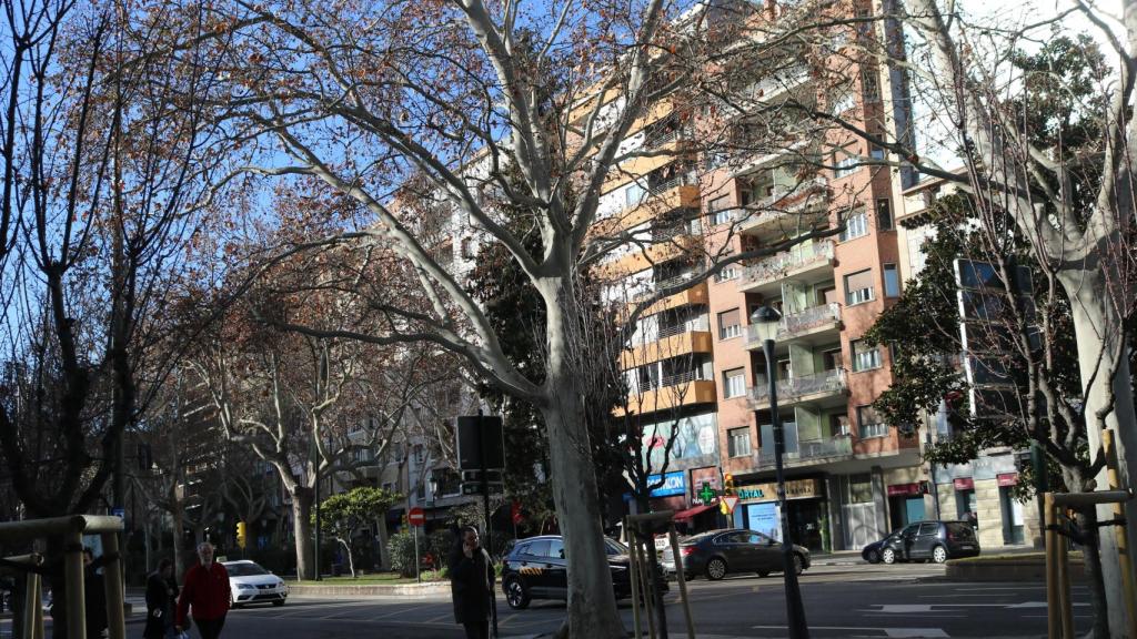 La ciudad de Zaragoza agrupa la mitad de la actividad inmobiliaria de la Comunidad