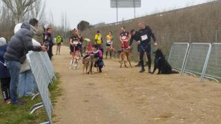 Canicross de Santa Marta