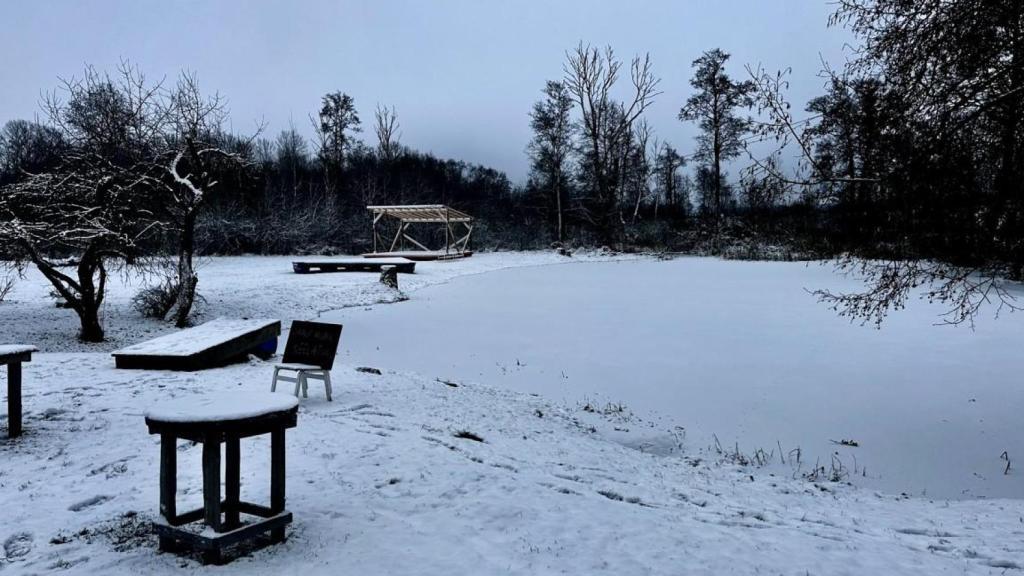 El estanque que se congela en invierno donde los clientes pueden patinar sobre hielo.