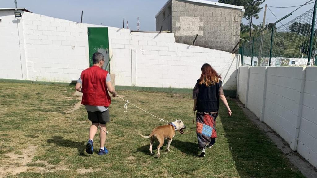 Una sesión del programa PARES