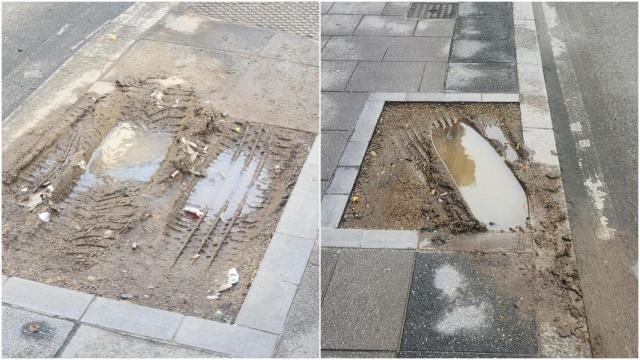 Un vehículo derriba cuatro árboles en la calle de la Torre