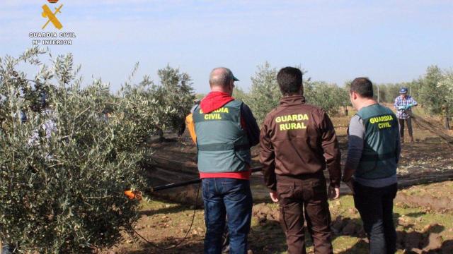 Imagen de archivo de la Guardia Civil en una epxlotación agrícola.