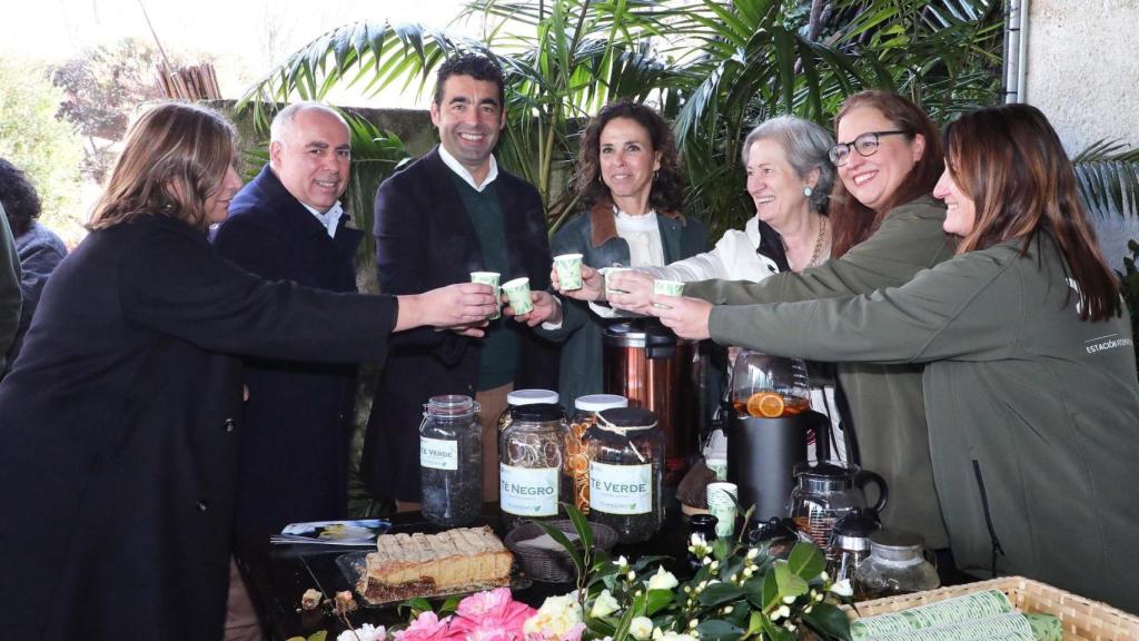 El Recinto Feiral de Pontevedra se prepara para acoger la 60 Exposición Internacional de la Camelia