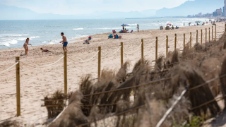 923918281_253097936_1706x960