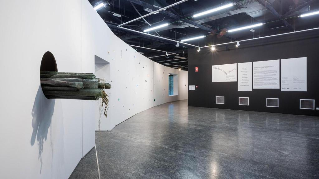 Vista general con las obras de Irati Inoriza y Belén Rodríguez. Foto: Lukasz Michalak / Fundación Banco Santander