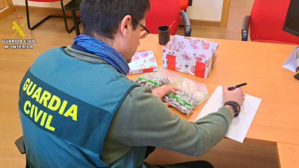 Un agente de la Guardia Civil con el hachís incautado