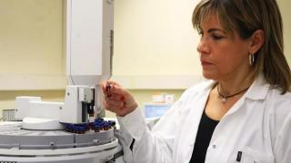 Ethel Eljarrat, directora del IDAEA-CSIC.