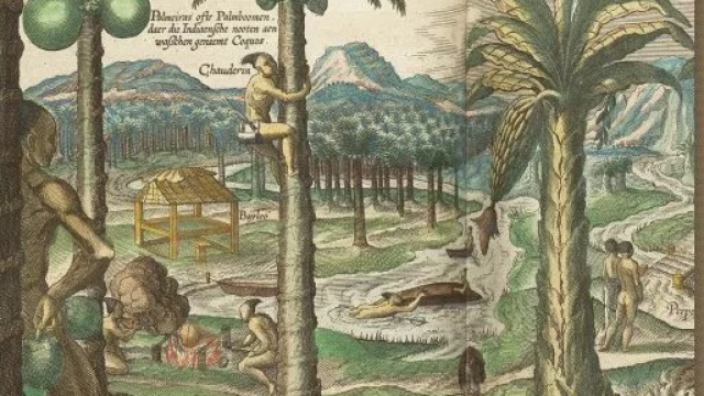 Detalle de 'Árbol que todo el año da frutos llamados higos de Indias', portada del libro de Juan Gil.