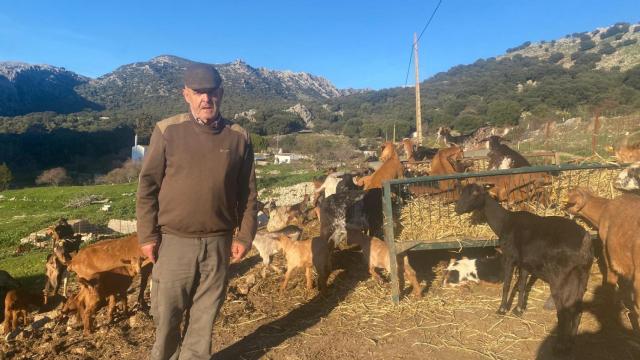 Rodrigo Mangana, en su explotación ganadera de cabras, ovejas y vacas.