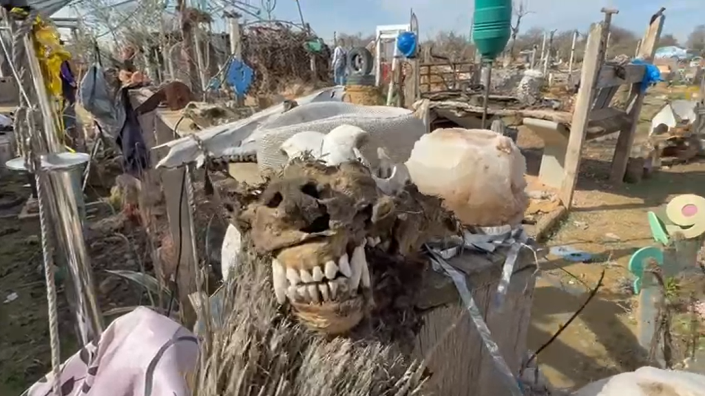 Calaveras encontradas en la parcela.