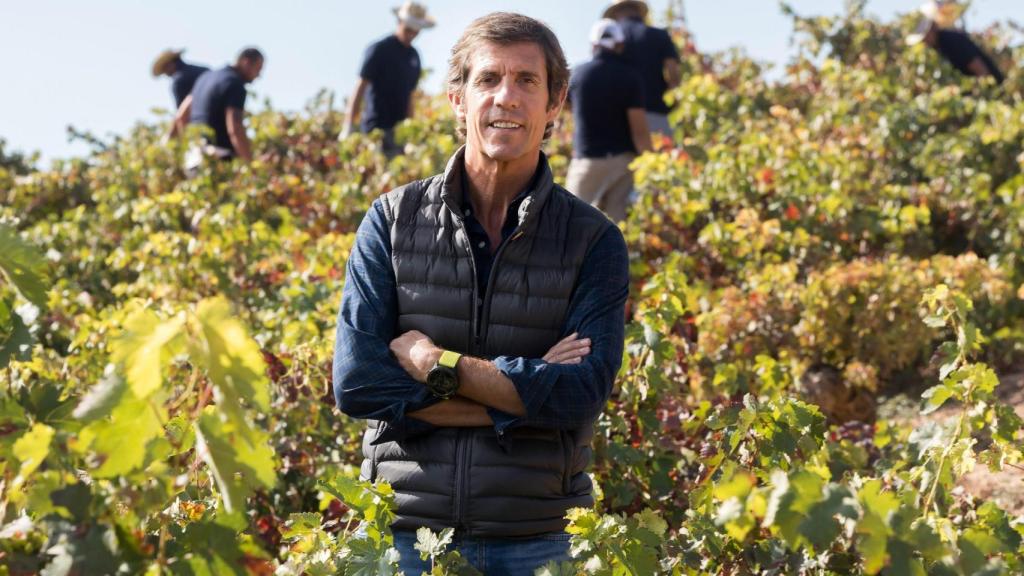 Javier Moro es presidente de las bodegas Emilio Moro.