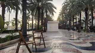 923918729_253111815_1706x960