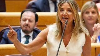 La portavoz del PP en el Senado, Alicia García