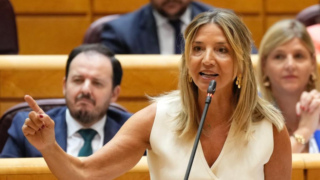 La portavoz del PP en el Senado, Alicia García
