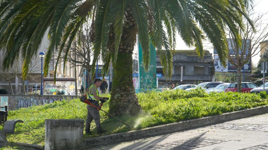 Acondicionamiento de las zonas verdes del paseo marítimo