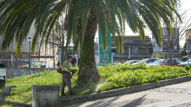 Acondicionamiento de las zonas verdes del paseo marítimo