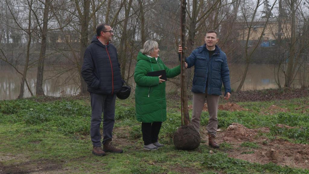 Imagen de la plantación  de árboles dentro del proyecto Renaturaliza