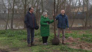 Imagen de la plantación  de árboles dentro del proyecto Renaturaliza