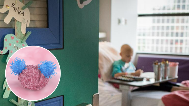 Una paciente pediátrica del Hospital Infantil de Texas adscrito al Colegio Baylor de Medicina / Representación de la terapia CAR-T.