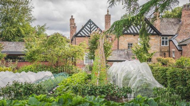 Este es el nuevo restaurante tres estrellas Michelin de Irlanda: 22 nuevos establecimientos se suman a la Guía