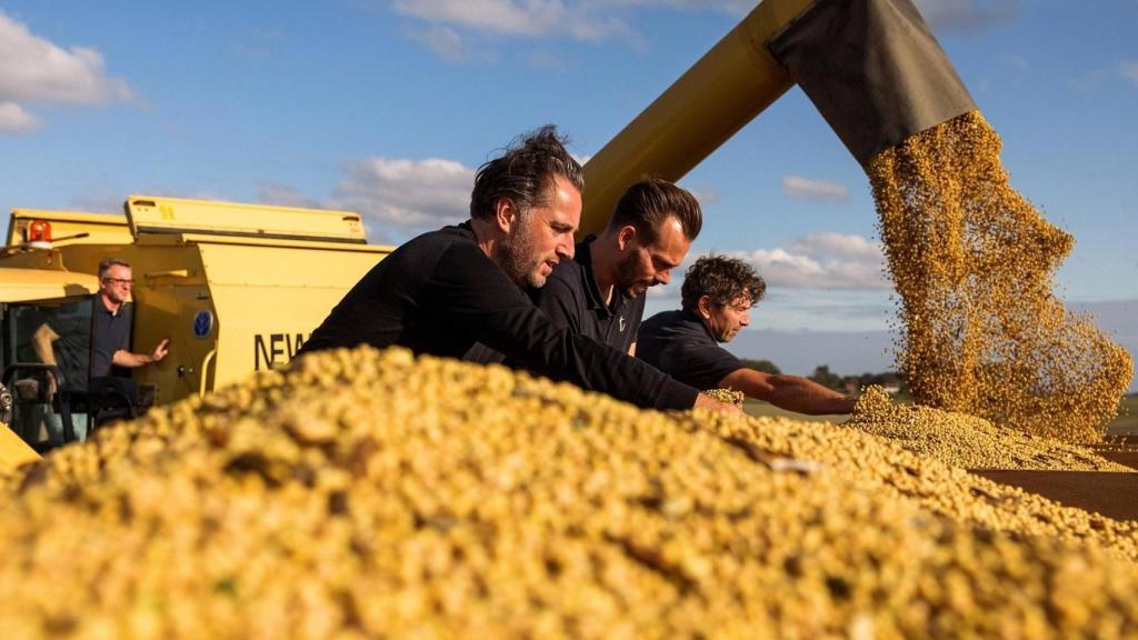 La sorprendente ciudad europea que está produciendo salsa de soja y wasabi de alta calidad