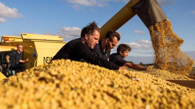 La sorprendente ciudad europea que está produciendo salsa de soja y wasabi de alta calidad