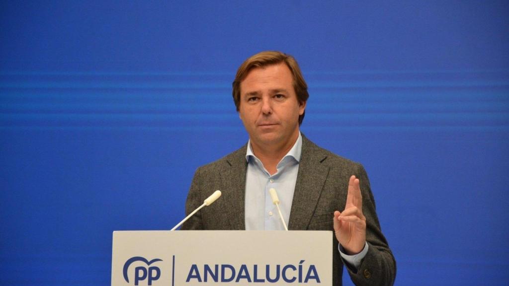 Repullo habla ante los medios de comunicación en la sede del PP de Andalucía.