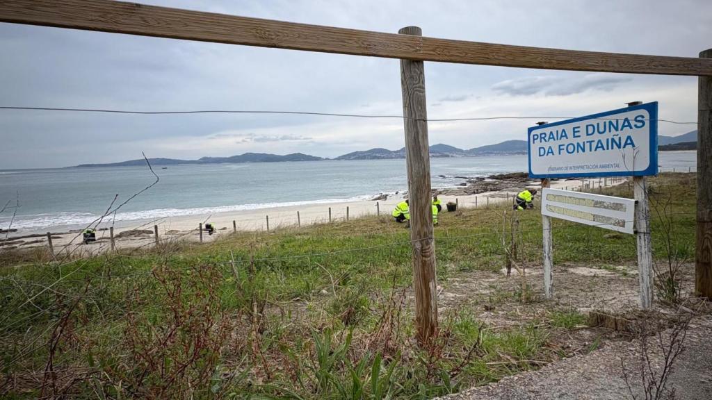 Operarios trabajando en las dunas.