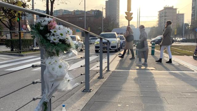 Cruce del tranvía en el Hospital Miguel Servet de Zaragoza