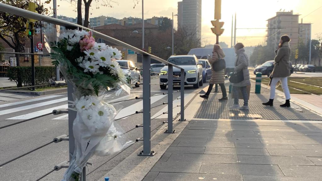Cruce del tranvía en el Hospital Miguel Servet de Zaragoza
