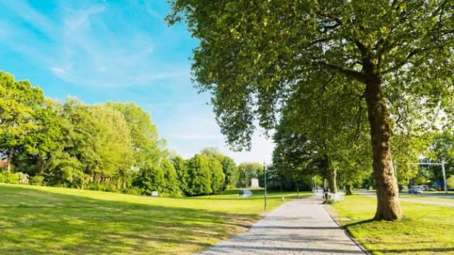Un parque en una imagen de archivo.
