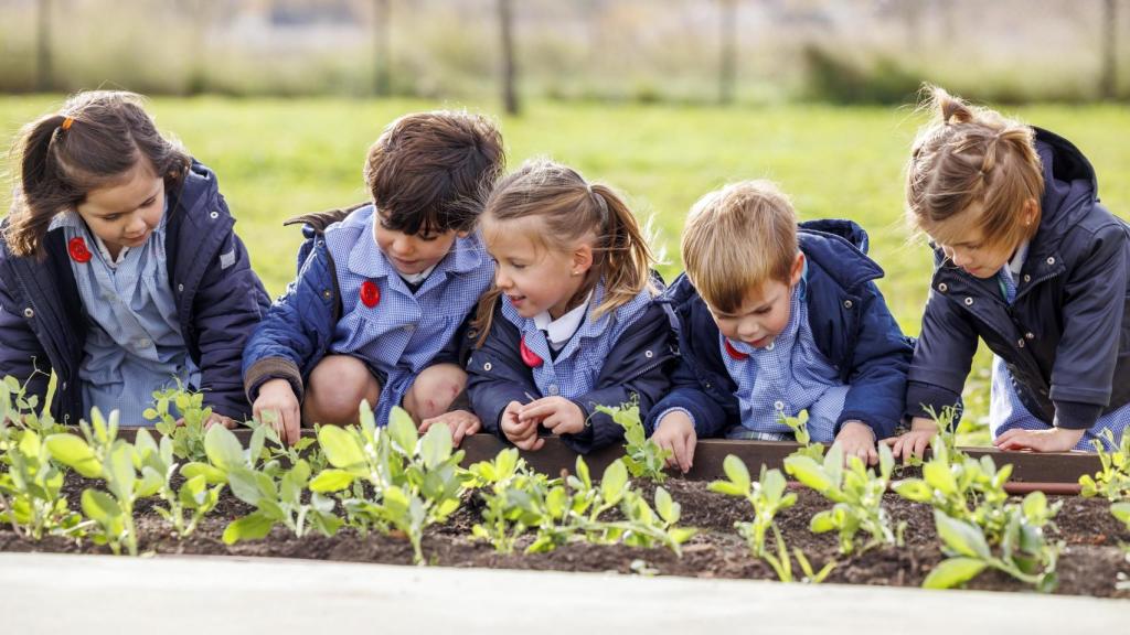 Colegio Alcaste-Las Fuentes (La Rioja).