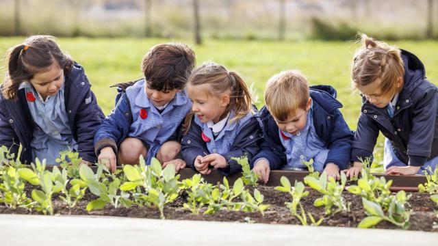 Colegio Alcaste-Las Fuentes (La Rioja).