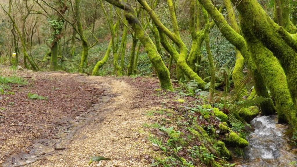 Tramo de la ruta do río Chanca, Meaño (Pontevedra).