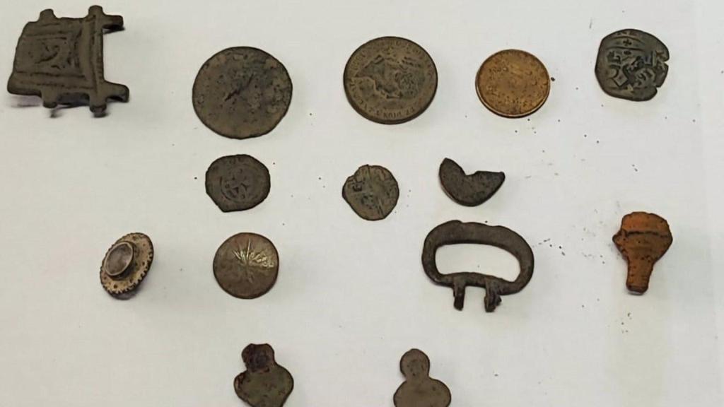 Pillan a tres vecinos de Toledo con piezas arqueológicas extraídas en un pinar de Santiuste (Segovia).
