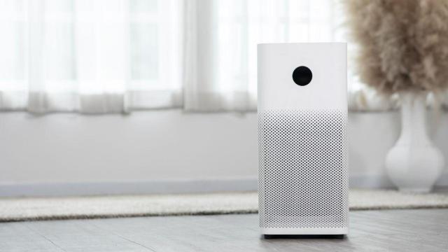 Los mejores purificadores de aire del 2025: listado de productos y guía de compra