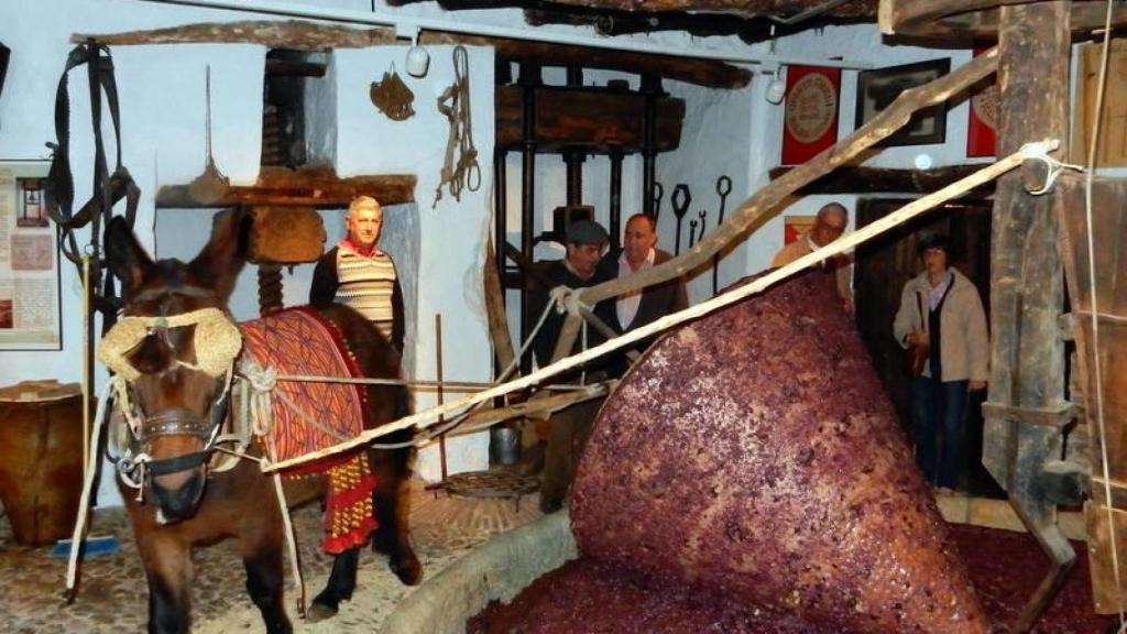 Fiesta de la Molienda de Riogordo.