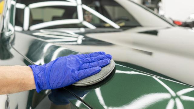 Profesional aplicando cera en el coche.