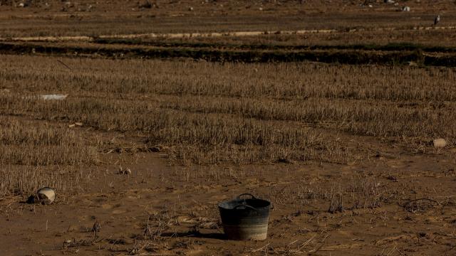 Restos de la dana en un campo de arrozales en las inmediaciones de la Albufera, imagen de archivo. Europa Press / Rober Solsona