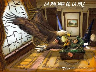 La_Paloma_De_La_Paz_43