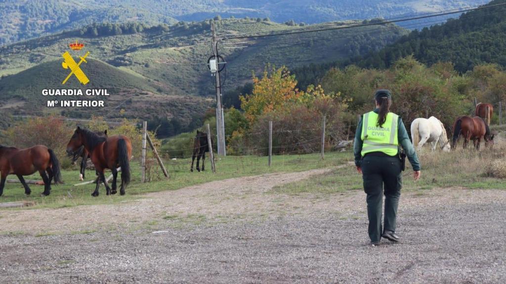 Imagen de la Guardia Civil en el lugar de los hechos