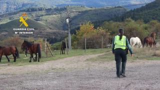 Imagen de la Guardia Civil en el lugar de los hechos
