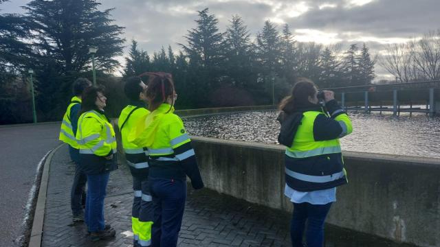 Voluntarios de Aquona realizando una observación de aves