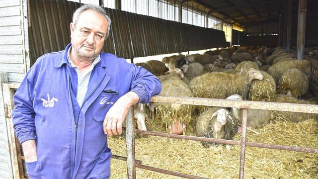 Visita a una ganadería de ovino en Villafrechós.