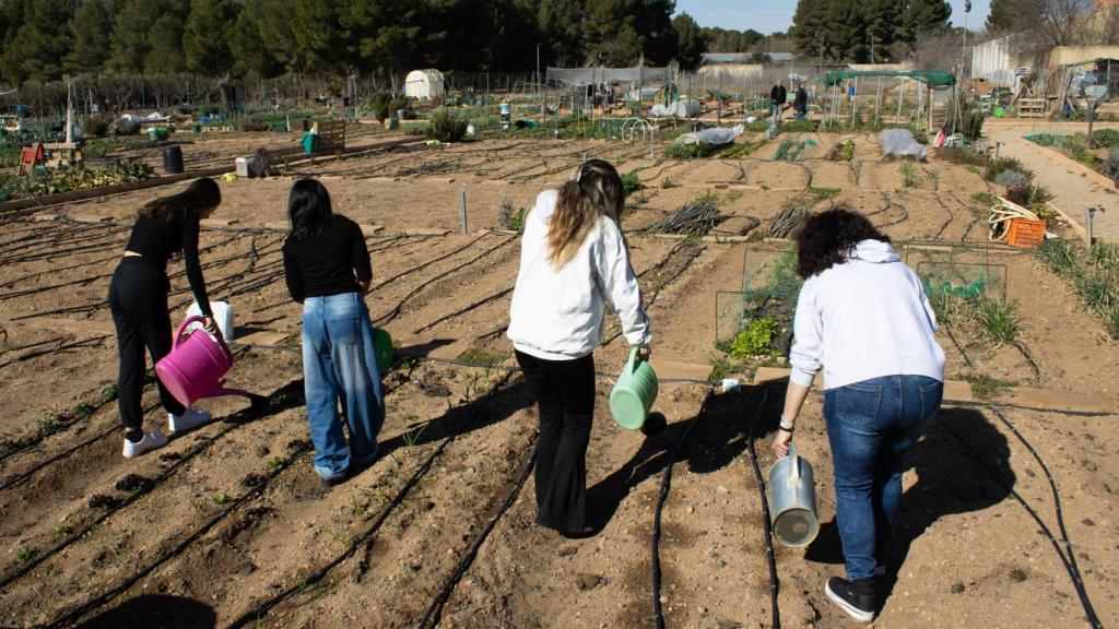 Huerto terapéutico en el UTCA del Hospital de Albacete.