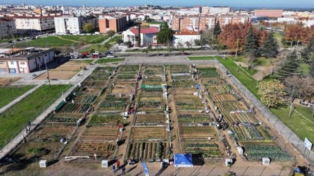 Huertos urbanos en Badajoz.